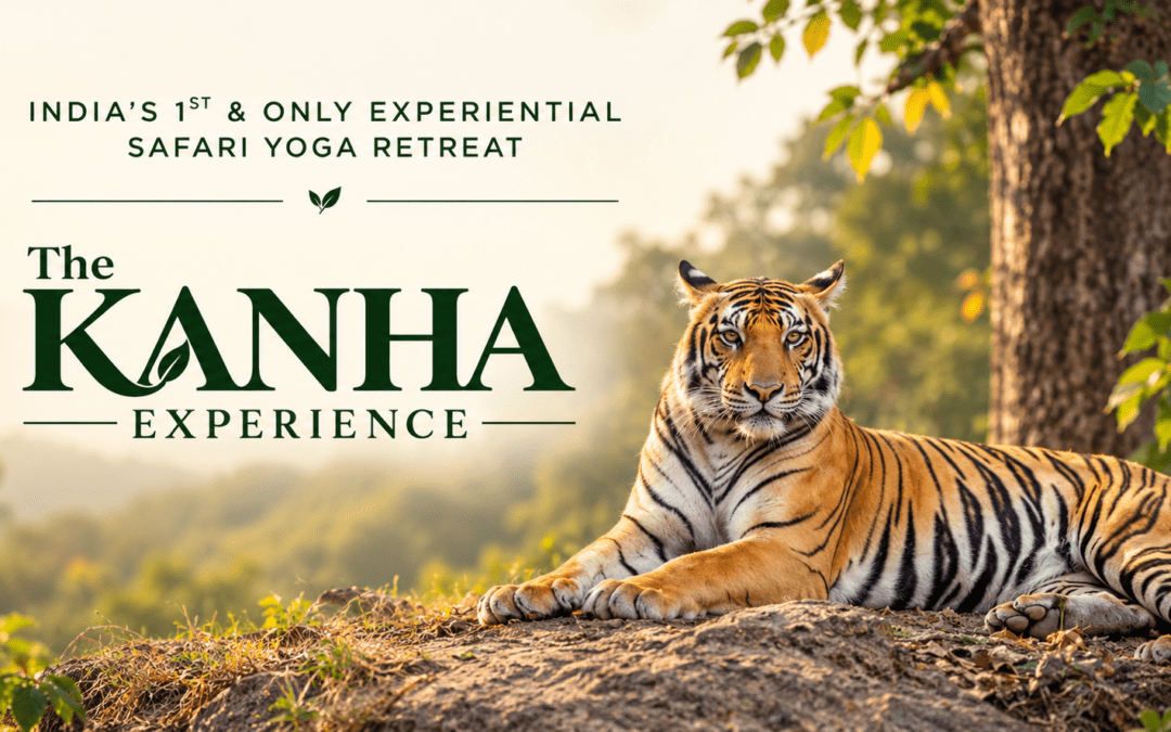 The KANHA Experience: Safari Yoga Retreat